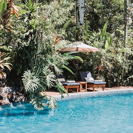 Overo Lodge & Selva Puerto Iguazu Ngoại thất bức ảnh
